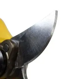 Filo de las tijeras de poda Garland Cepa